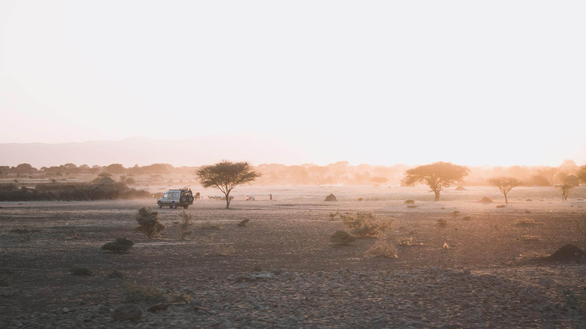 Dina Deykun Wedding Photographer