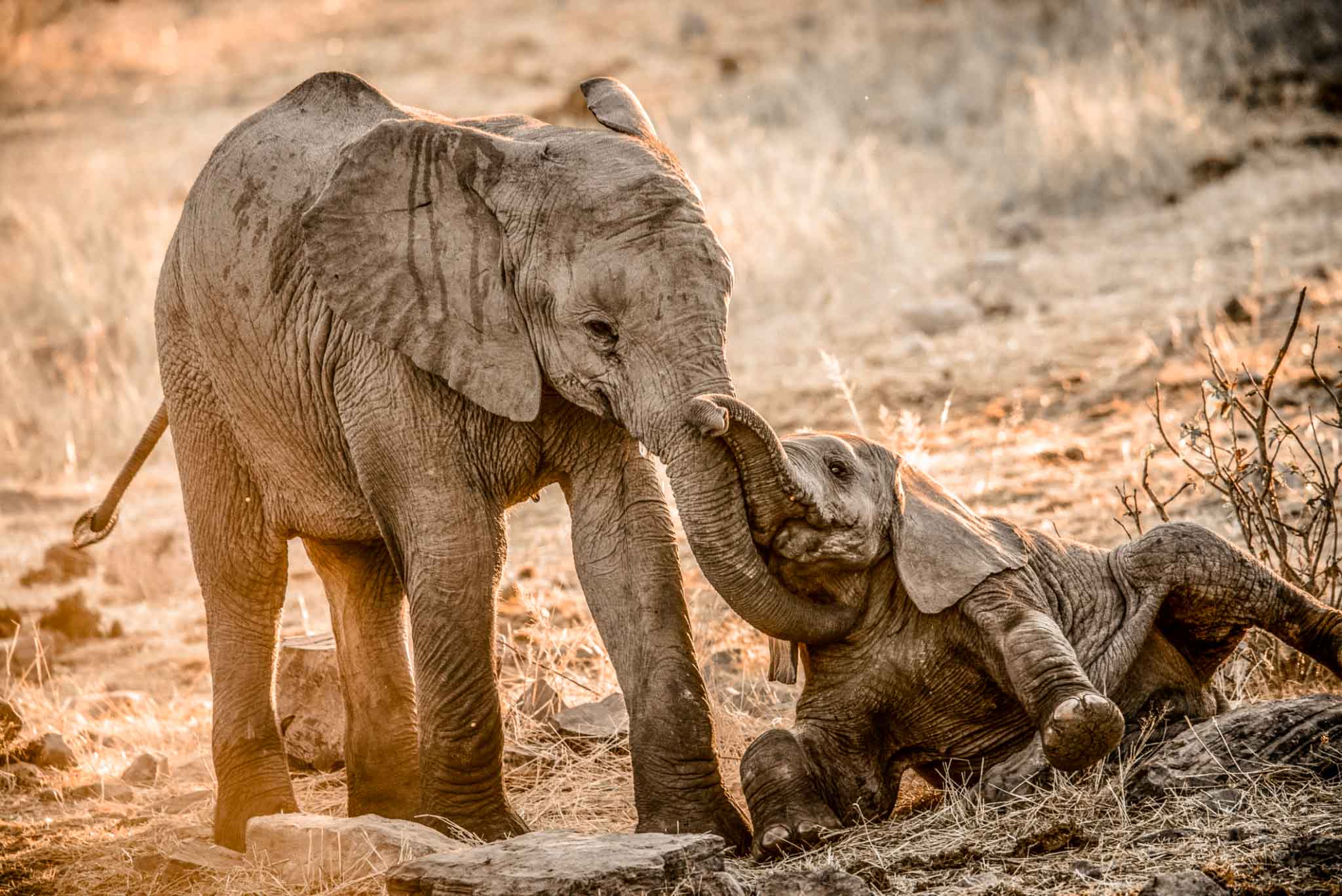 Tarangire National Park