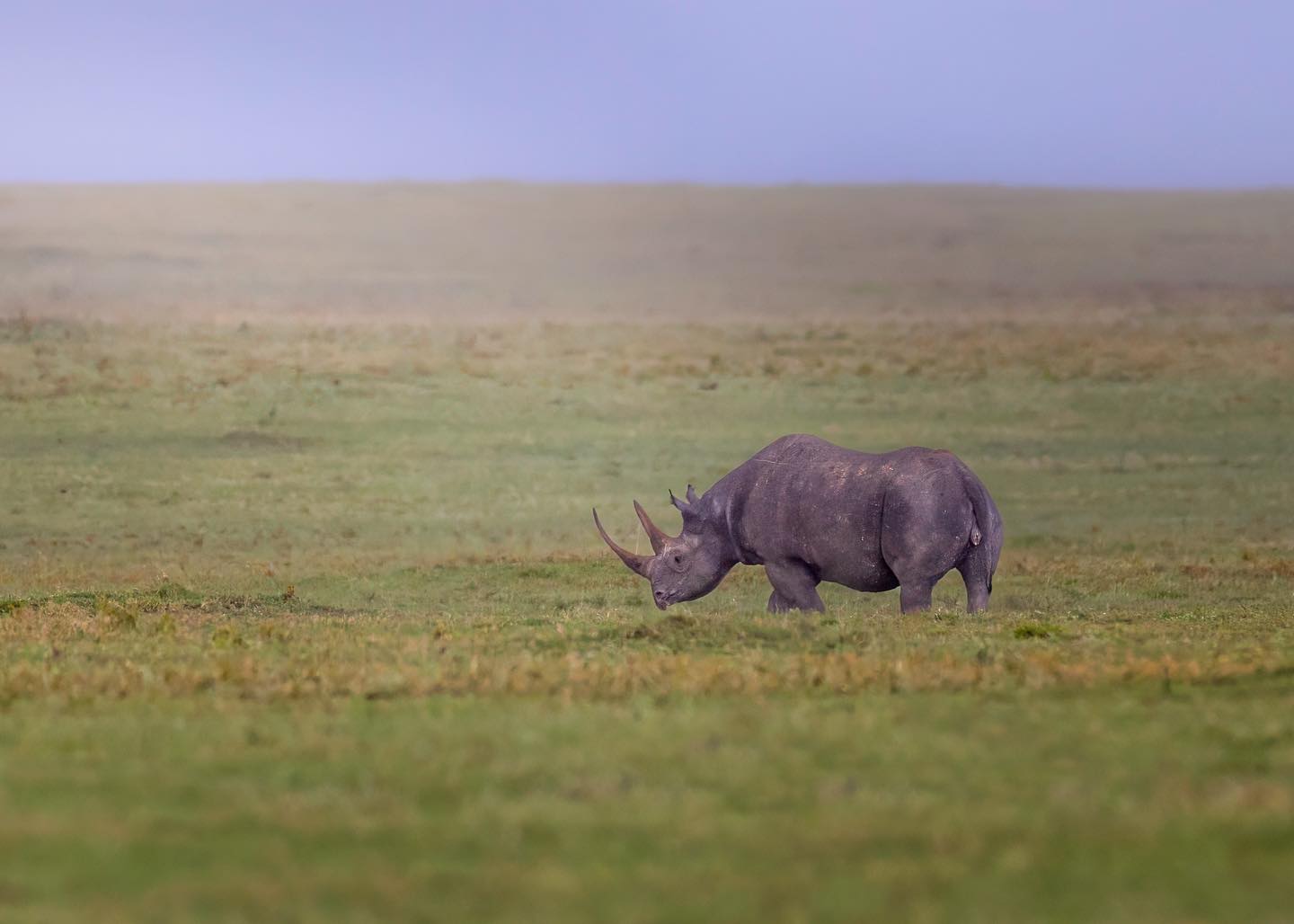 Mkomazi National Park